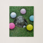 DSCF0698.JPG LEGPUZZEL (Verticaal)