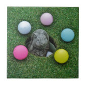 DSCF0698.JPG TEGELTJE (Voorkant)