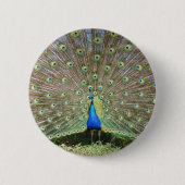 DSCF1062 RONDE BUTTON 5,7 CM (Voorkant)