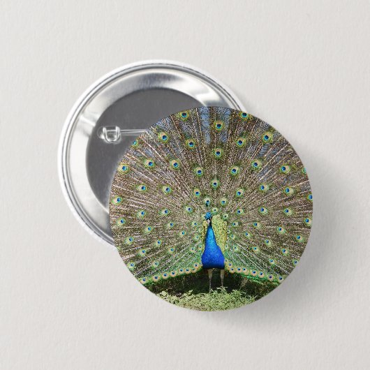 DSCF1062 RONDE BUTTON 5,7 CM (Voorkant /achterkant)