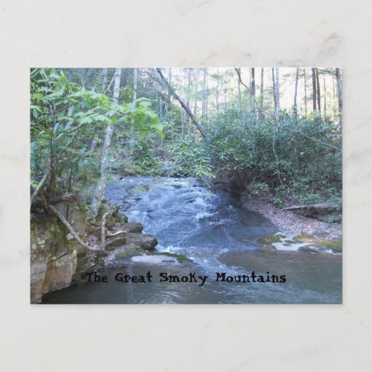 DSCF1083_037, de Grote Smoky Mountains Briefkaart (Voorkant)