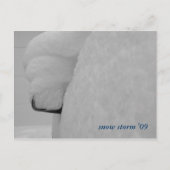 DSCF1089, sneeuw storm '09 Briefkaart (Voorkant)
