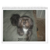 DSCF1937 2011 KALENDER (Hoes)