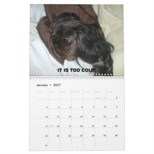 DSCF1937 2011 KALENDER (Jan 2027)