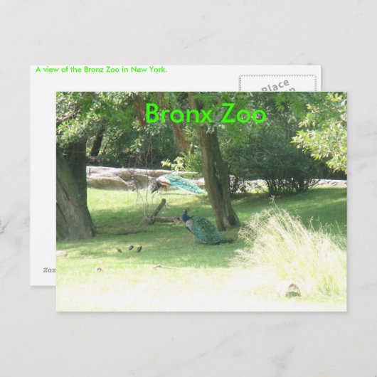 DSCF2638, Bronx Zoo Briefkaart (Voorkant / Achterkant)