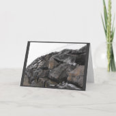 DSCF2781, pap, jij rock! Bedankkaart (Achterkant)