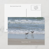 DSCF2949, Topsail Island, NC Briefkaart (Voorkant / Achterkant)