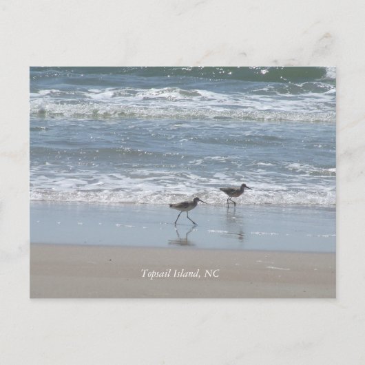 DSCF2949, Topsail Island, NC Briefkaart (Voorkant)