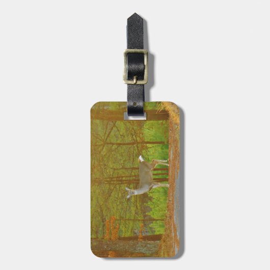 DSCF4041.JPG BAGAGELABEL (Voorkant verticaal)