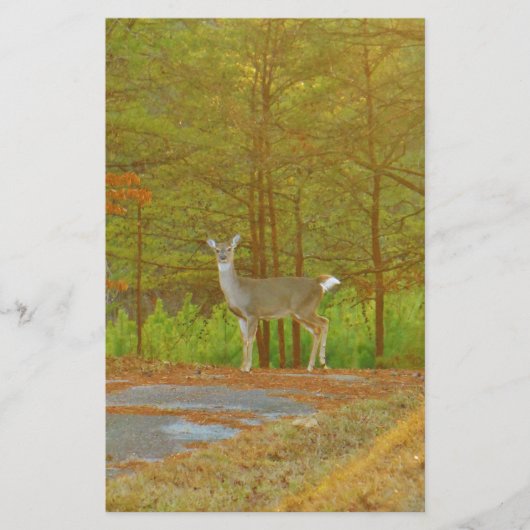 DSCF4041.JPG BRIEFPAPIER (Voorkant)