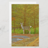 DSCF4041.JPG BRIEFPAPIER (Voorkant / Achterkant)