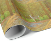 DSCF4041.JPG CADEAUPAPIER (Rol Hoek)