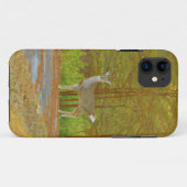 DSCF4041.JPG Case-Mate iPhone CASE (Achterkant (horizontaal))
