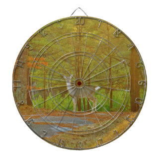 DSCF4041.JPG DARTBORD