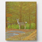 DSCF4041.JPG FOTOPLAAT (Voorkant)