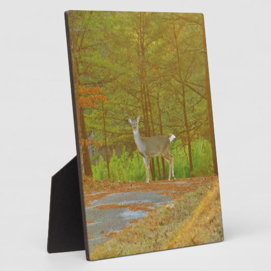 DSCF4041.JPG FOTOPLAAT (Zijkant)