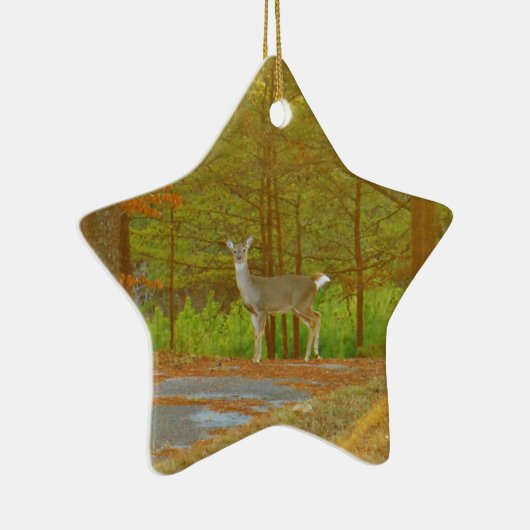 DSCF4041.JPG KERAMISCH ORNAMENT (Rechts)