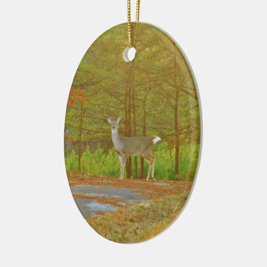 DSCF4041.JPG KERAMISCH ORNAMENT (Links)