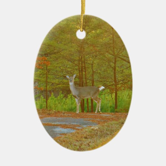 DSCF4041.JPG KERAMISCH ORNAMENT (Voorkant)