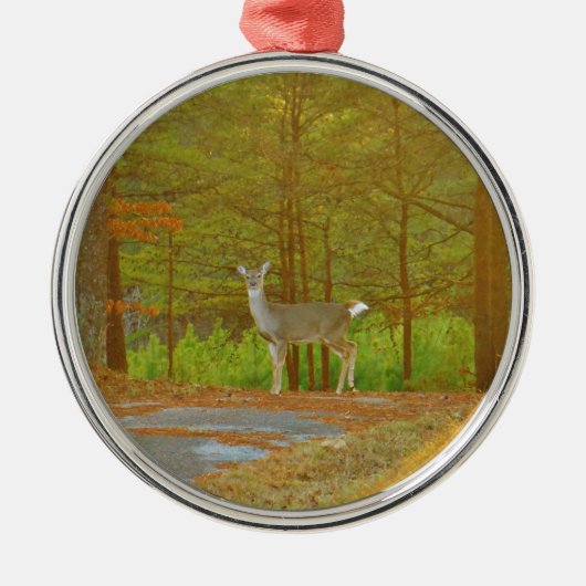 DSCF4041.JPG METALEN ORNAMENT (Voorkant)