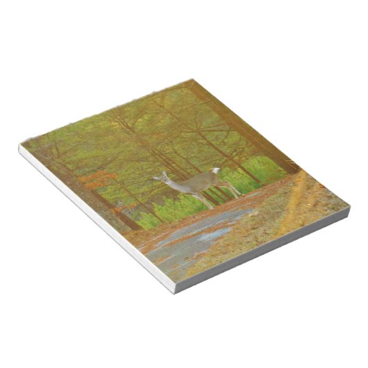 DSCF4041.JPG NOTITIEBLOK (Schuin)