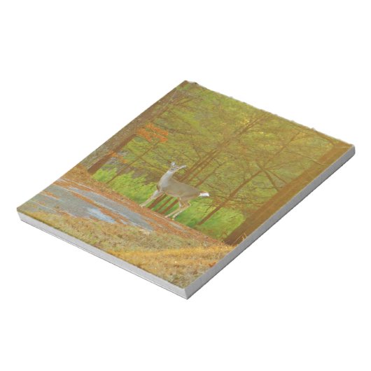 DSCF4041.JPG NOTITIEBLOK (Linkerzijde)