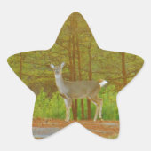 DSCF4041.JPG STER STICKER (Voorkant)