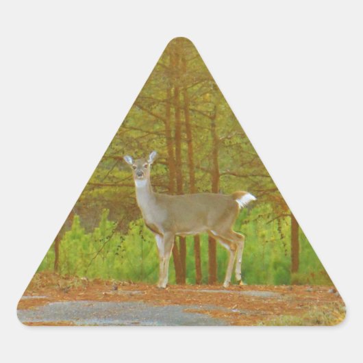 DSCF4041.JPG STICKER (Voorkant)