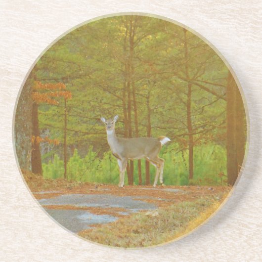 DSCF4041.JPG ZANDSTEEN ONDERZETTER (Voorkant)