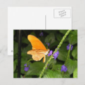 DSCF9699 BRIEFKAART (Voorkant / Achterkant)