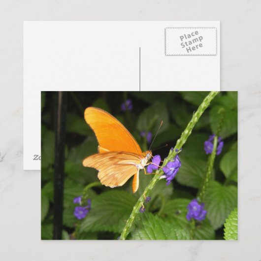 DSCF9699 BRIEFKAART (Voorkant / Achterkant)