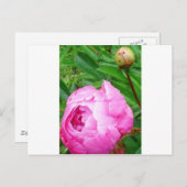 DSCI0964.JPG BRIEFKAART (Voorkant / Achterkant)