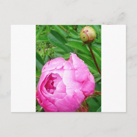 DSCI0964.JPG BRIEFKAART (Voorkant)