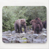 DSCN0088 MUISMAT (Voorkant)