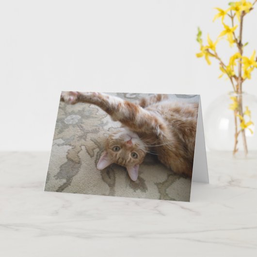 DSCN0119 KAART (Gele Bloem)