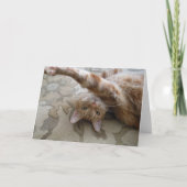 DSCN0119 KAART (Voorkant)