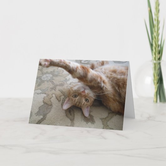 DSCN0119 KAART (Voorkant)