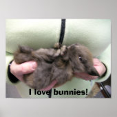DSCN0356, ik hou van bunnies! Poster (Voorkant)