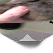 DSCN0356, ik hou van bunnies! Poster (Hoek)