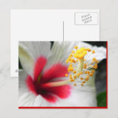 DSCN0387 BRIEFKAART (Voorkant / Achterkant)