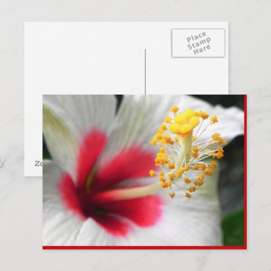 DSCN0387 BRIEFKAART (Voorkant / Achterkant)