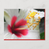 DSCN0387 BRIEFKAART (Voorkant)