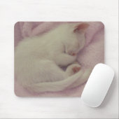 DSCN0654 MUISMAT (Met muis)