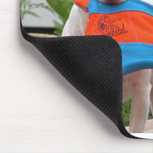 DSCN6701, waar is de muis? Muismat (Hoek)