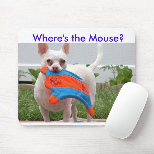 DSCN6701, waar is de muis? Muismat (Met muis)