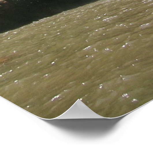 DSCN9348, moroccocarp.com Poster (Hoek)