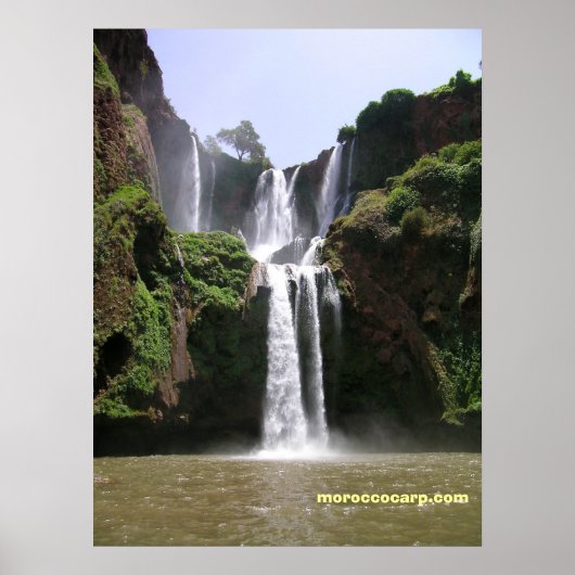 DSCN9348, moroccocarp.com Poster (Voorkant)