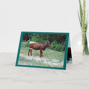 Dsta-dank u-pas aan bedankkaart