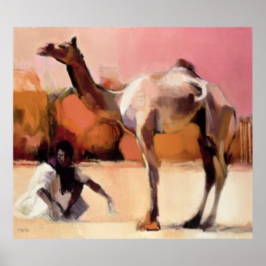 dsu en Said Rann van Kutch 1996 Poster (Voorkant)