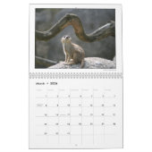 DU 2010-agenda voor de groep fotografie Kalender (Mar 2026)